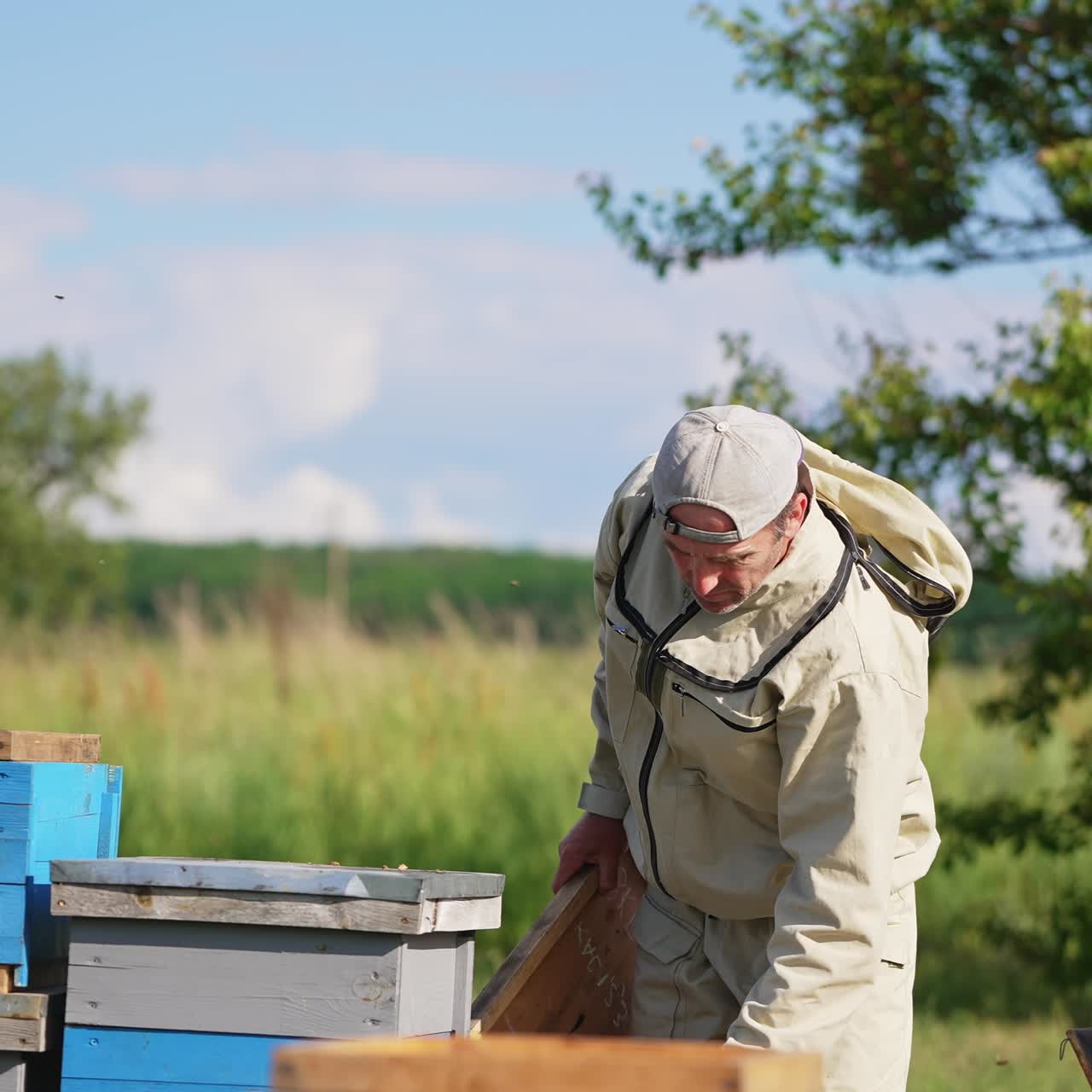 Male apiarist uses a smoker and a brush in his work at apiary. Checking up the bees and honey harvest on sunny summer day