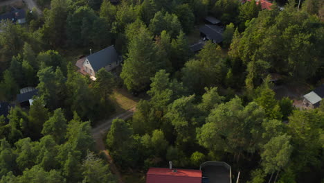 High-angle-view-of-vacation-houses-between-trees.-Coastal-landscape-against-low-sun.-Tilt-up-reveal-of-sea-coast.-Denmark