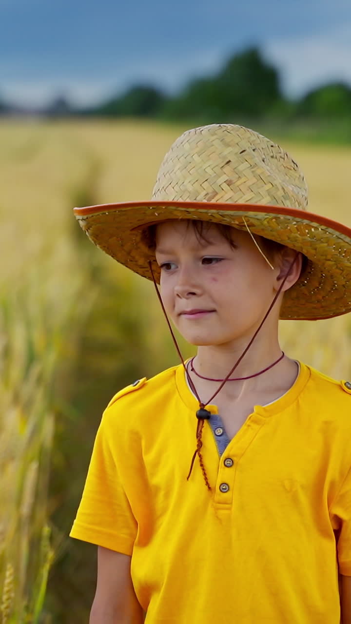 Boy in straw hat outdoors. Portrait of a little farmer on yellow field background. Cheerful kid stands among agricultural plants. Vertical video