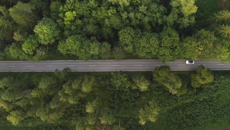 Un-Camión-De-Pasajeros-Pasa-Por-La-Carretera-A-Través-De-Una-Hermosa-Parte-De-Un-Bosque-Verde,-La-Vista-Superior-Capturada-Por-Un-Dron-A-Unos-60-Metros-De-Altura