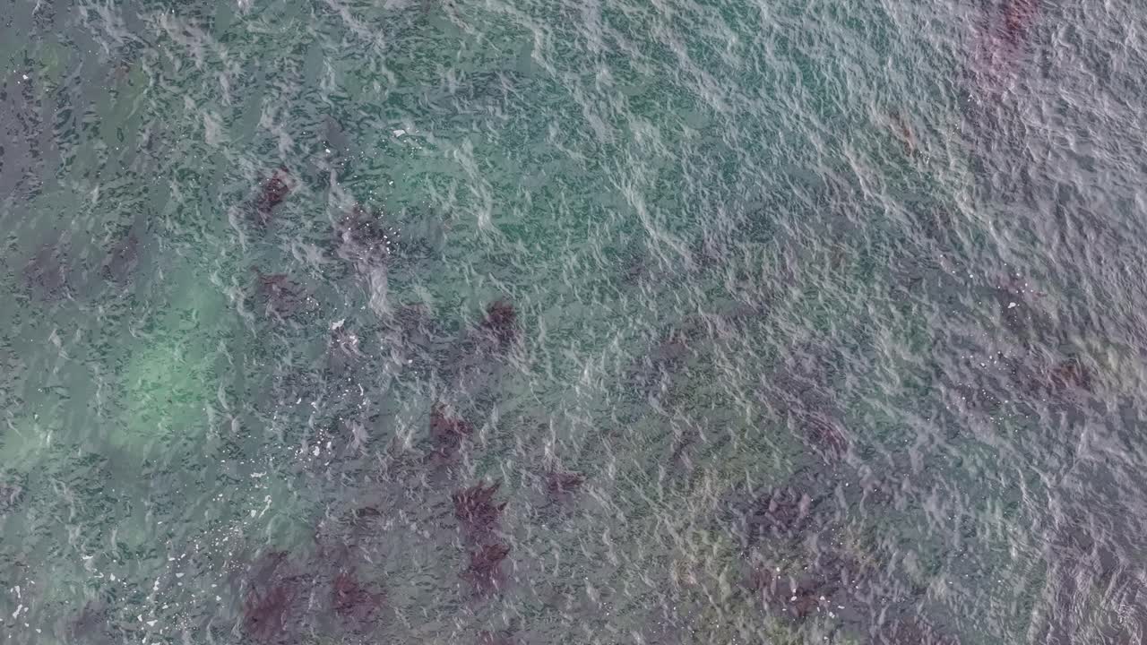 Top-down drone view of swirling ocean water patterns and subtle underwater textures. The image captures shifting currents, colorful patches, and abstract marine formations just below the sea surface