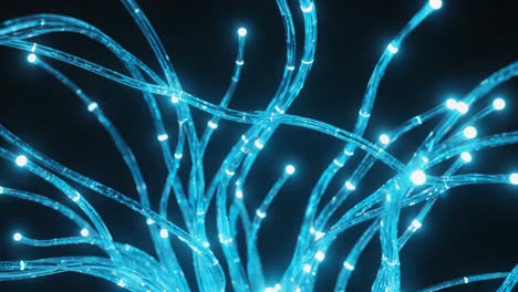 fiber optic network