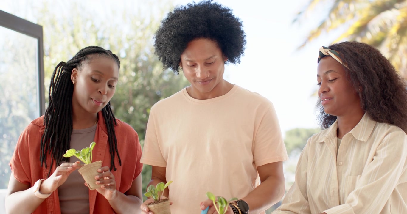 Amis afro-américains inspectant des semis et les mettant en pot sur la terrasse pour les planter avec un transplantoir.