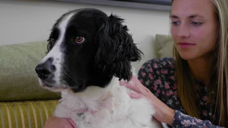 Young-woman-smiles-and-pets-beautiful-dog,-slow-motion,-close-up