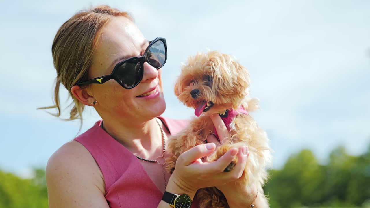 Happy woman in her thirties playing with cute Maltipoo puppy in bright sun