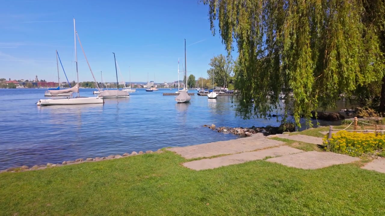 Marina soleggiata a Zurichhorn con barche a vela ancorate sull'acqua calma del Lago di Zurigo, vista da un sentiero lungo il lago con vegetazione e alberi sotto un cielo azzurro e limpido. Camminando dritto