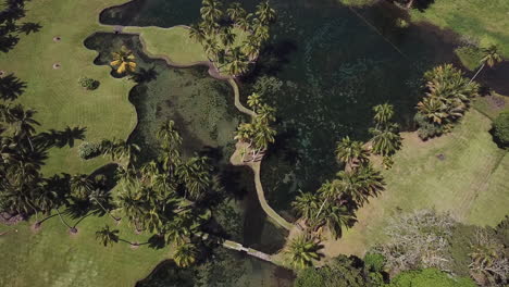 Big-island-pond-lined-in-palm-trees-and-rocks-in-Hawaii