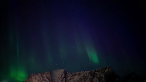 aurora boreal, con vibrantes tonos de danzas verdes sobre el telón de fondo de las montañas, lofoten, noruega