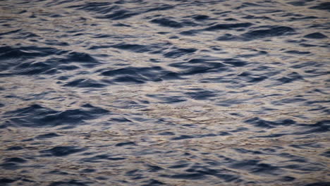 primer plano cinematográfico del agua en un lago en la ciudad