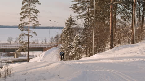 cross-country skiing in a winter landscape