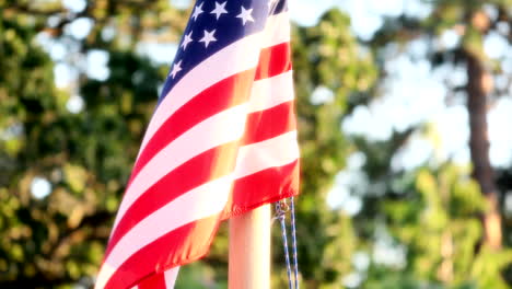 american usa flag waving against bokeh trees at daytime