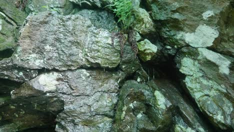 water drips over stones along wissahickon creek