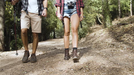 nogi turystów w szortach i butach trekkingowych