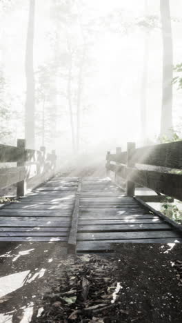 a wooden bridge leading through a foggy forest