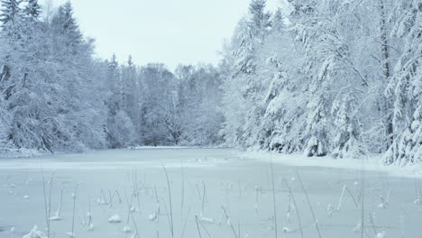 AERIAL---Frozen-lake-in-a-snowy-winter-forest-in-Sweden,-low-wide-shot-forward