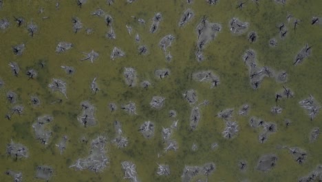 bird's eye view of the land degradation at taarbin lake, caused due to increasing salinity