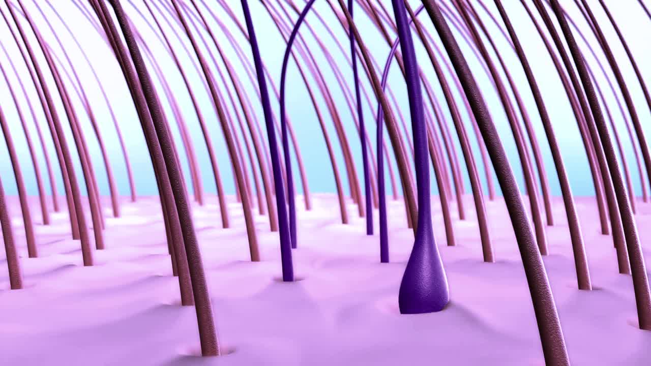 Animazione 3D di follicoli piliferi e trattamento del cuoio capelluto