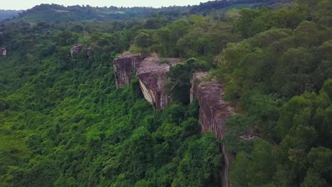 tropical jungle surrounding kulen mountain in phnom kulen national park near siem reap province, cambodia