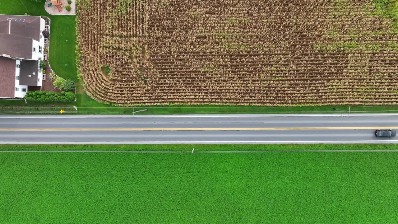 가을에 농촌 미국 시골을 가로질러 가는 길