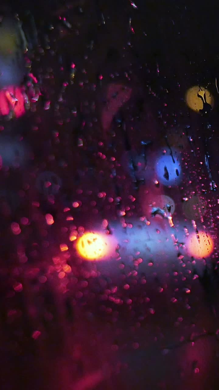 Rainy Night Lights