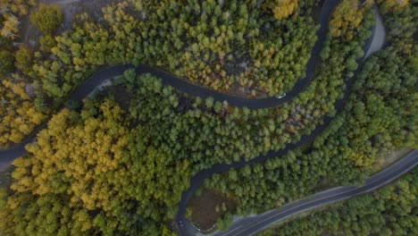 Top-down-Luftaufnahme-Von-Autos-Auf-Der-Serpentinenstraße-Auf-Dem-Gebirgspass---Bäume-In-Herbstfarben