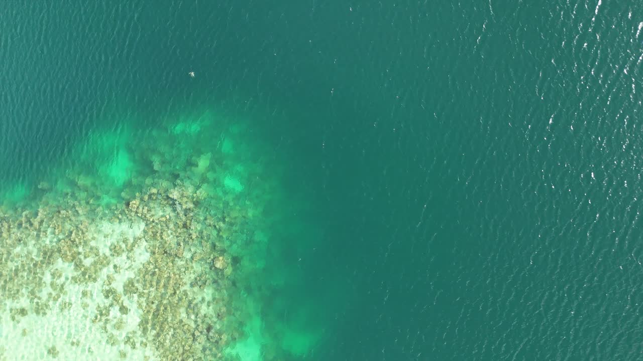 High angle drone shot captures vibrant coral reefs and clear turquoise water in Palau's lagoon