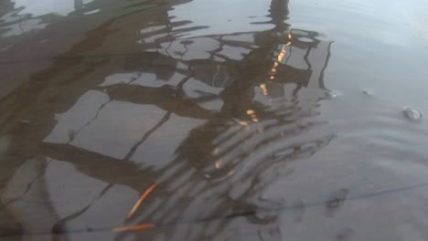 gotas de agua