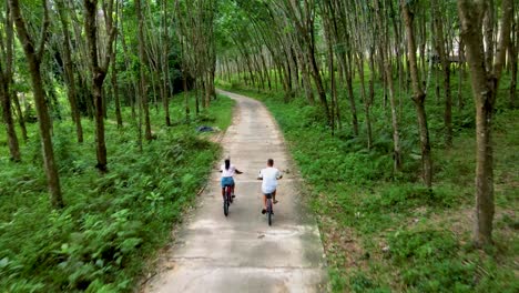 a couple of men and women on bicycle in the jungle of koh yao yai thailand, men and woman bicycling alongside a rubber plantation in thailand.