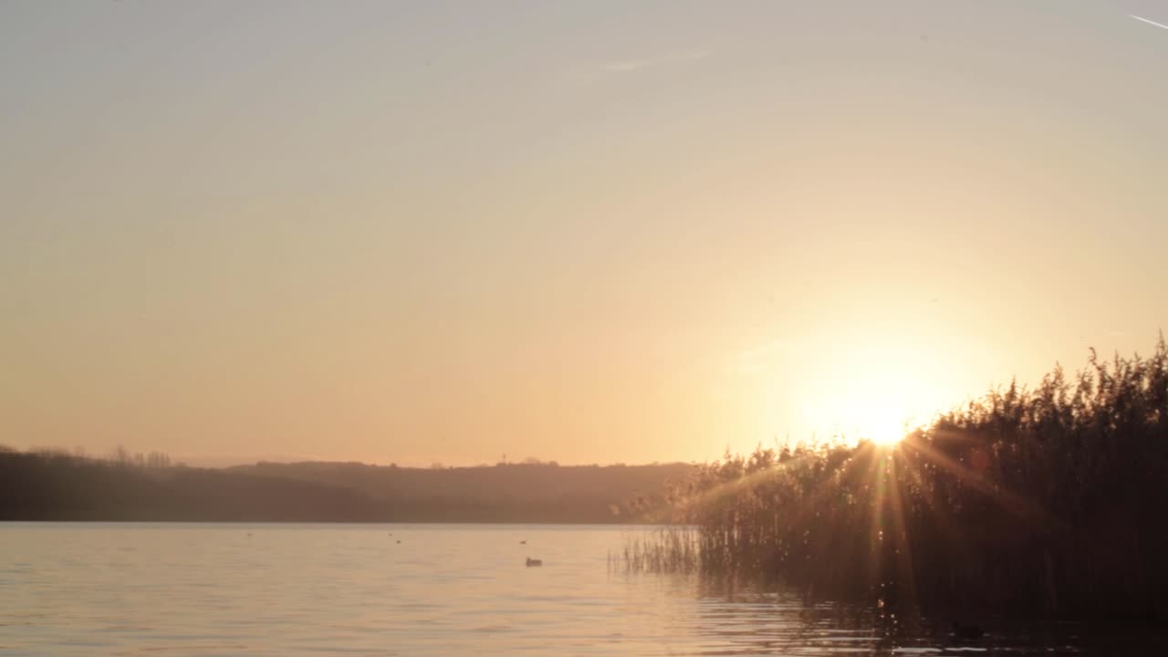 Rippling lake landscape with reeds and tall grass at golden sunset