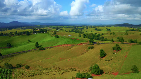 aerial of vast green fields and vegetation in atherton tablelands, queensland, australia - drone shot