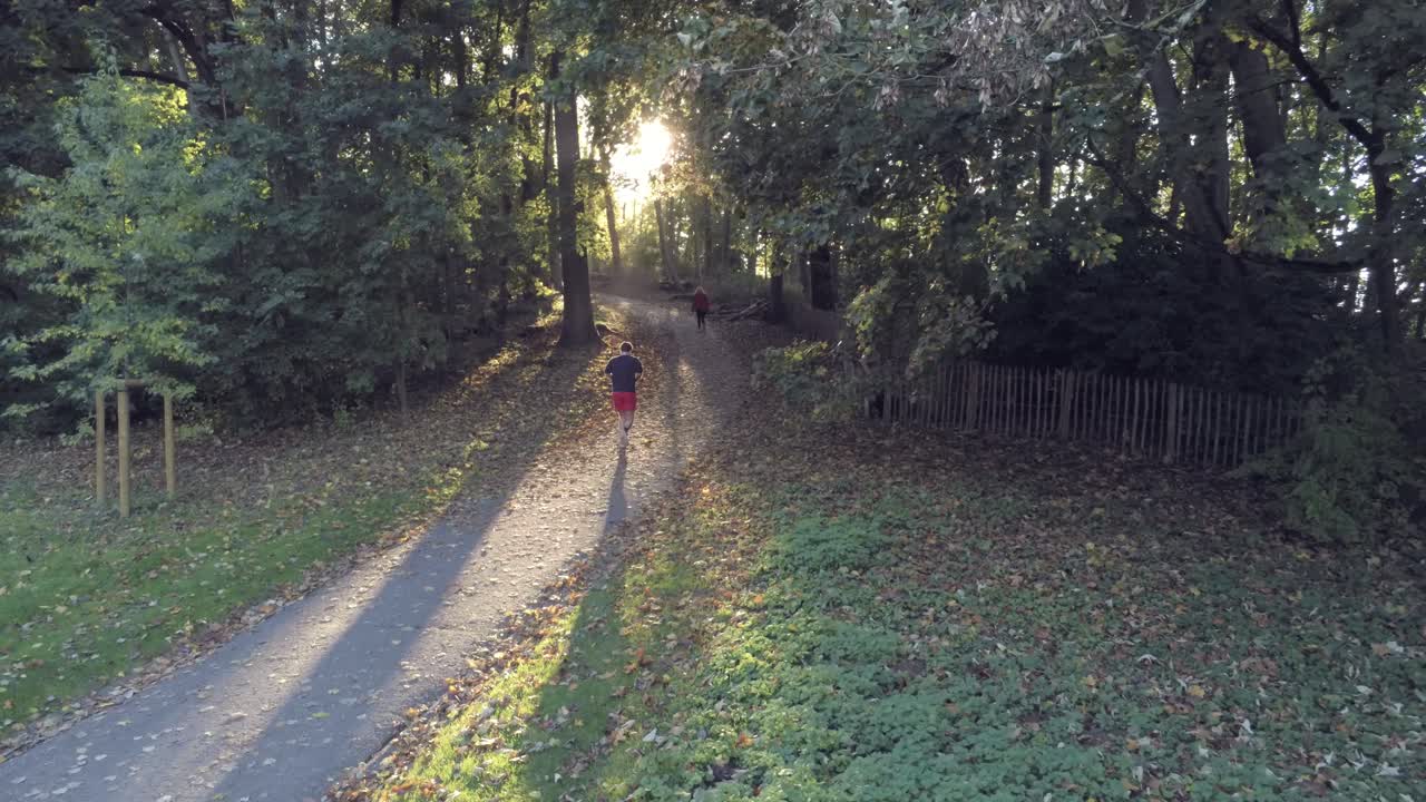 corredor masculino escalando el parque woluwe en bruselas al atardecer, cruce de parque rural, seguimiento aéreo