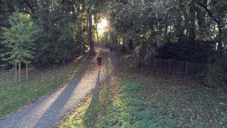 Corredor-Masculino-Escalando-El-Parque-Woluwe-En-Bruselas-Al-Atardecer,-Cruce-De-Parque-Rural,-Seguimiento-Aéreo