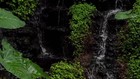miniature waterfall in a tropical garden