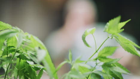 ¿qué está creciendo en tu jardín?