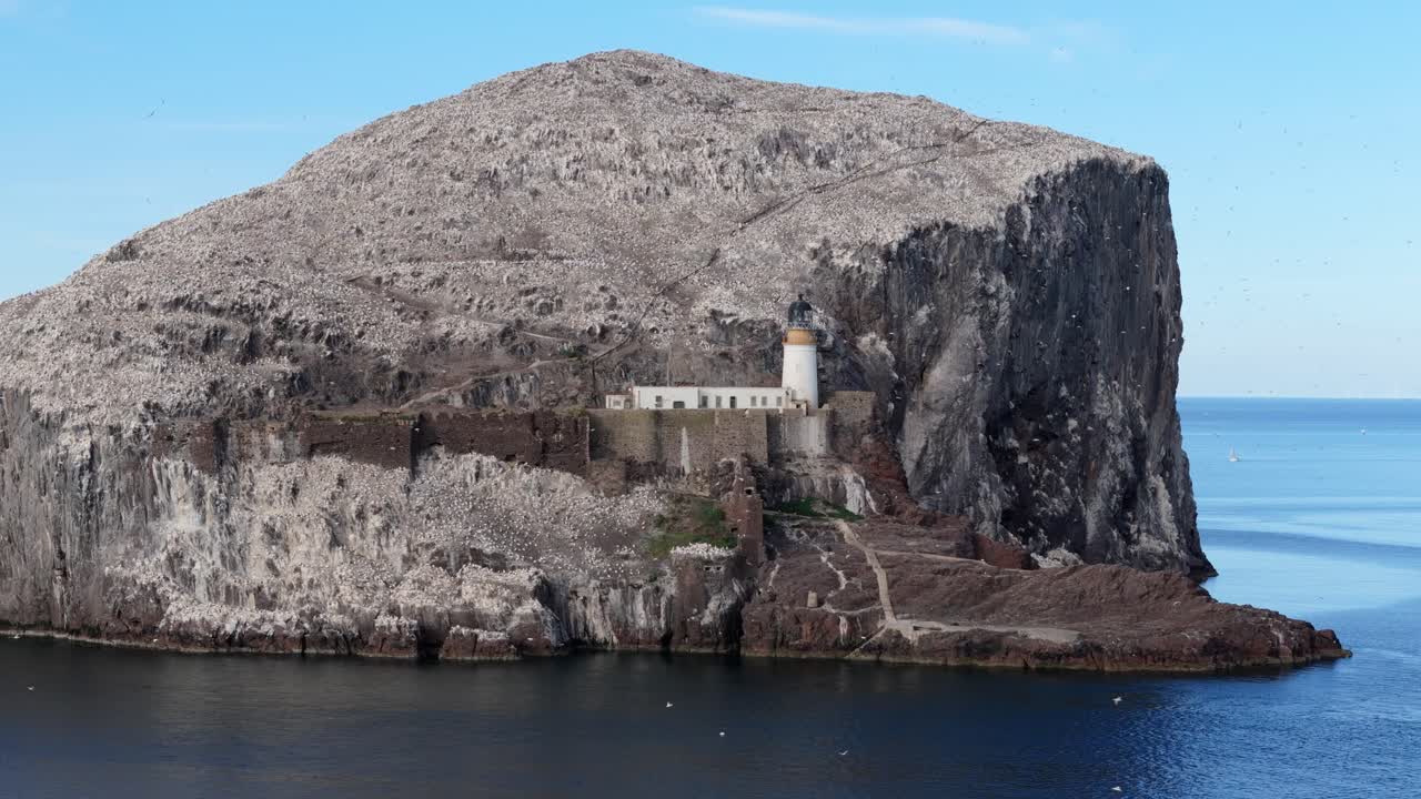 Aerial drone footage of Bass Rock, an island off the coast of North Berwick, Scotland, in the warm summer sunshine. North Sea, rugged cliffs, seabird colonies.