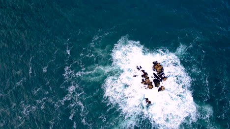 ocean swell surging against rocky outcrop in azure blue atlantic, top down drone