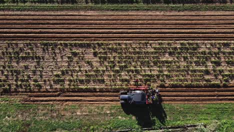 Antena-Arriba-Hacia-Abajo-De-Un-Granjero-Con-Tractor-Cosechando-Plantas-De-Campo-Durante-El-Día-Soleado