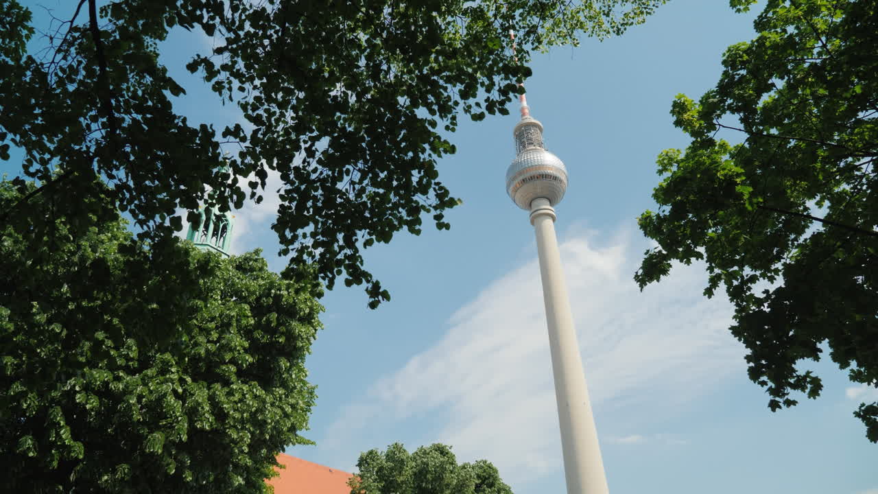 베를린 tv 타워와 나무 캐노피 03