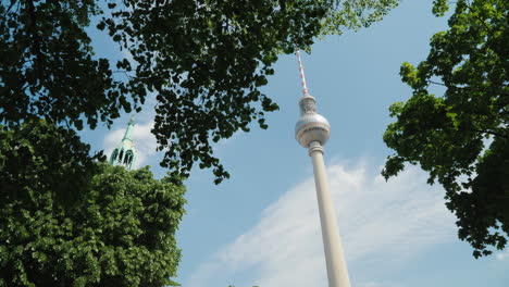 torre de televisión de berlín y dosel de árboles 03