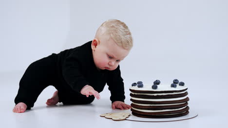 calm serious baby boy in black suit reaches big chocolate blueberry cake in front of him. kid takes a sign and pokes it with finger smudged with cream. white backdrop.