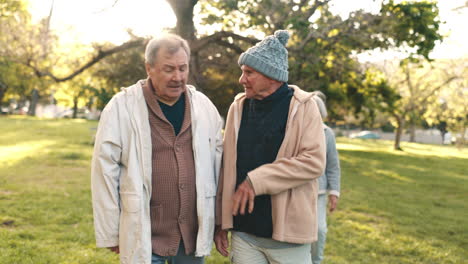 old friends, walking and talking in park together