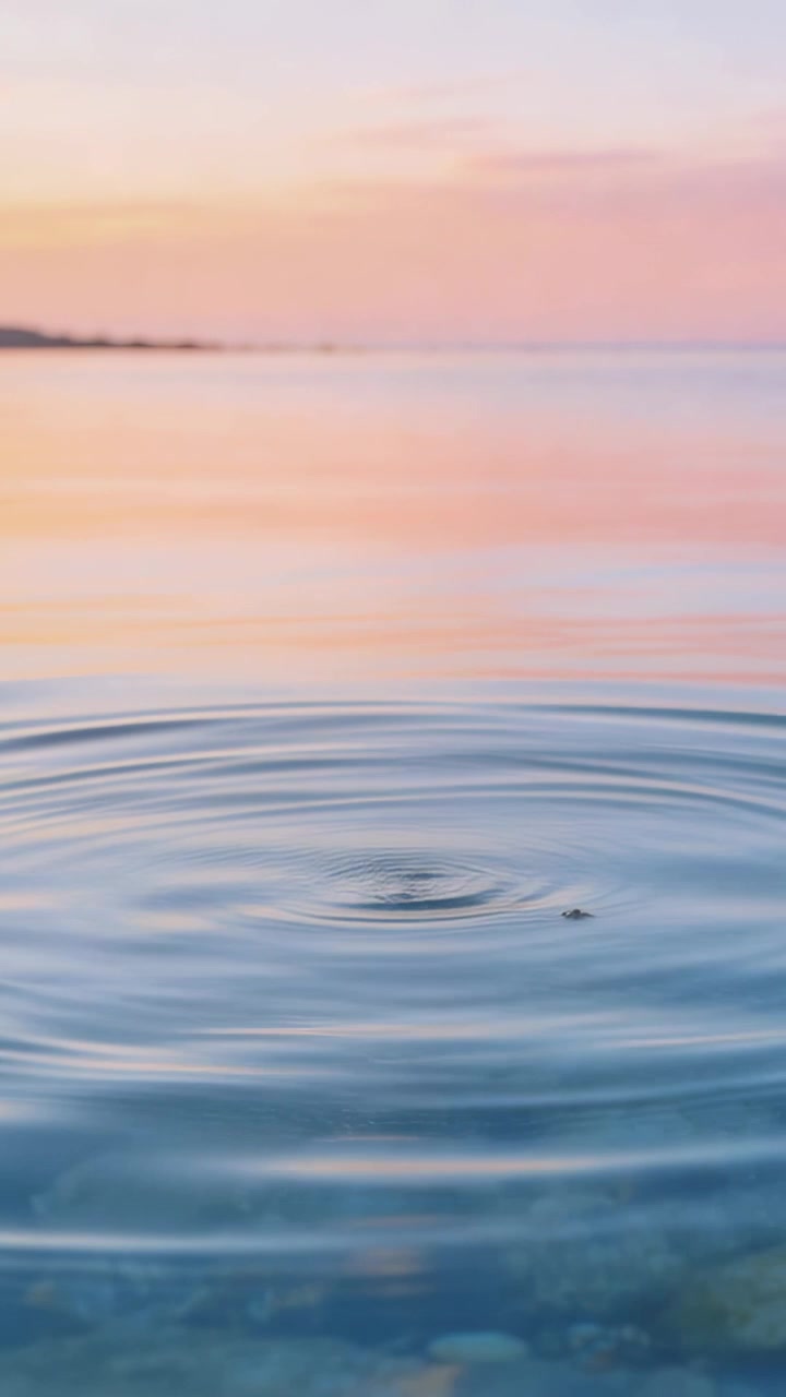 Vertical video: Arising disturbance sending circular rings across coastal water, speck drifting