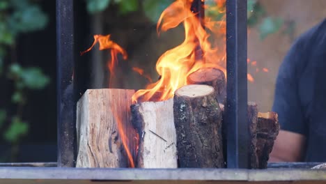 logs burning in a fireplace with visible flames