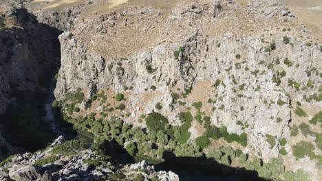 4k-aerial-view-of-a-beautiful-palm-tree-lined-gorge-in-southern-Crete