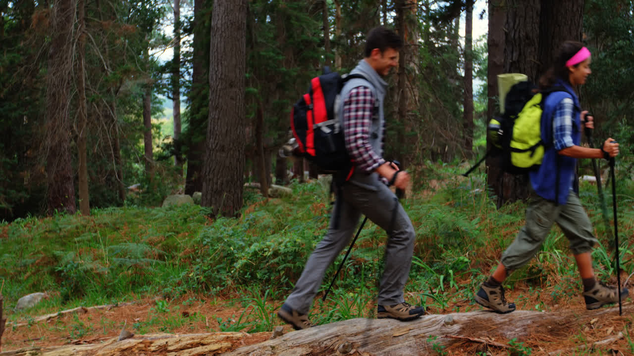 산책 하는 산책자 부부 의 측면 시각