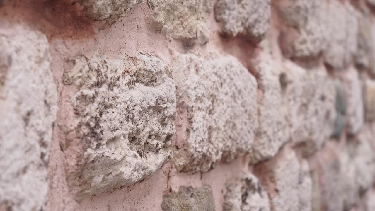 cerca de una pared de piedra áspera