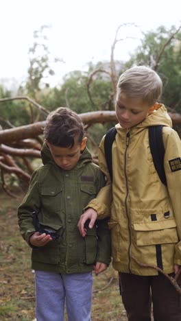 kids in the nature