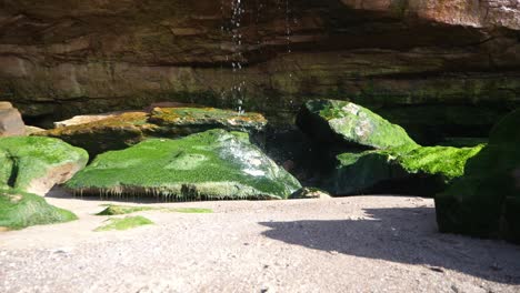 slow motion of a small waterfall pattering down on a very mossy rock on a sunny day