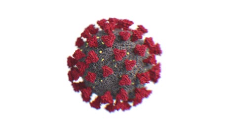 coronavirus covid-19 scientific model illustration seamless. looped 3d animation of 2019-ncov chinese corona virus close-up on white background isolated medical concept.