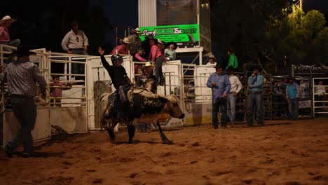 bull rider competes in a nighttime rodeo event